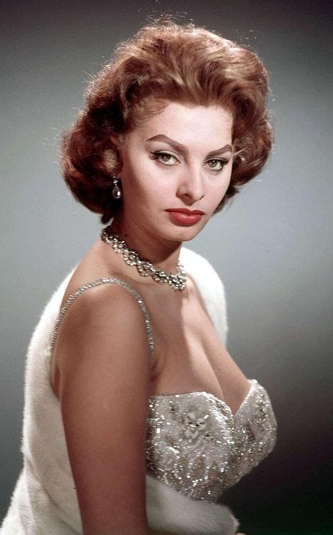 Sophia Loren Sophia Loren Sophia Loren Photo Sophia Loren Images