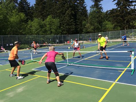 .are physically or mentally handicapped. Learn to Play Pickleball | Murray City, UT - Official Website