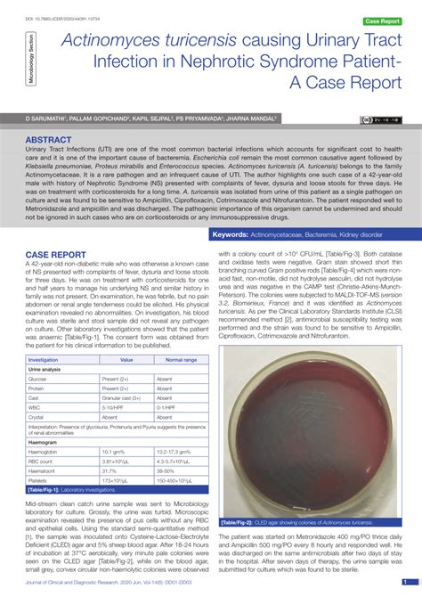 Pdf Actinomyces Turicensis Causing Urinary Tract Infection In