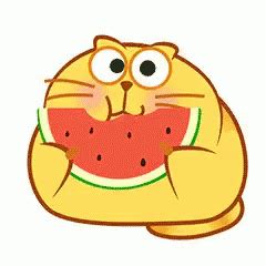 # amazing # baby # eating # hippo # watermelons. Cat Eating GIF - Cat Eating Watermelon - Discover & Share GIFs