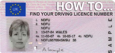 The expiration date is noted on the card. How driving licence changes signal cheaper insurance quotes