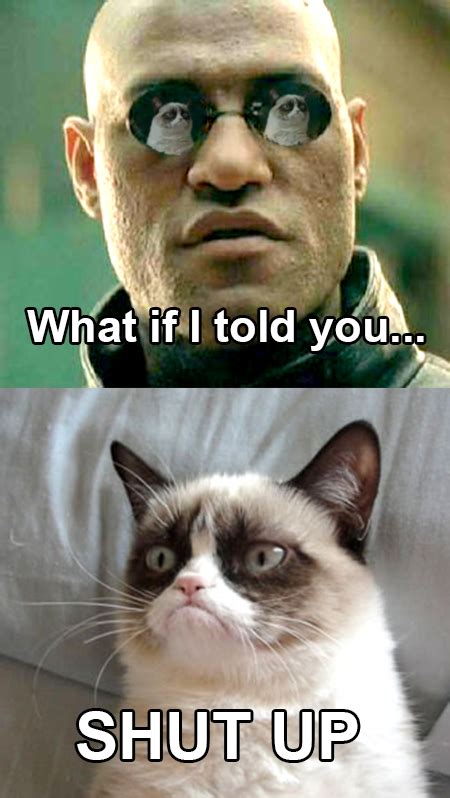 What If I Told You Grumpy Cat Know Your Meme