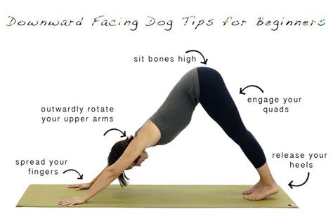How To Do The Downward Facing Dog Pose Yoga Benefits Dog Poses Yoga