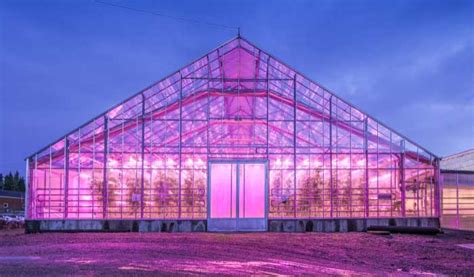 Greenhouse Led Lighting │ Philips Lighting