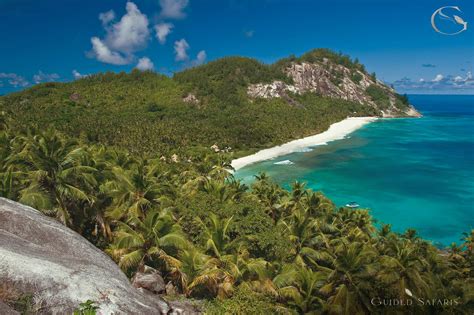North Island Seychelles Seychelles Luxury Safari Lodges