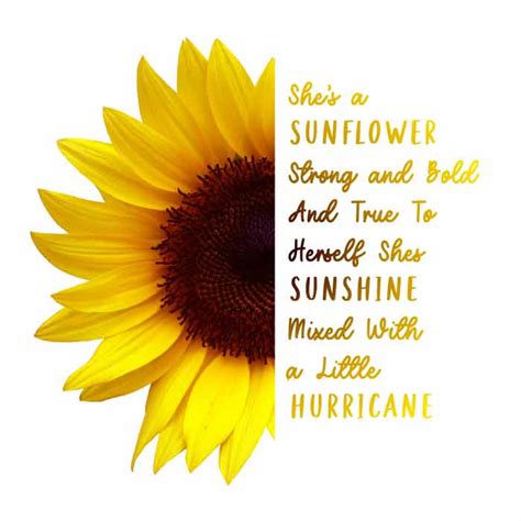 She's a sunflower SVG & PNG 2 - Free SVG Download flower svg free