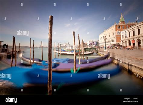 Moored Gondolas Off St Marks Square Venice Italy Stock Photo Alamy