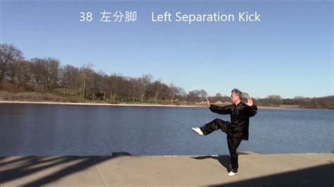traditional yang style taijiquan 103 form back view youtube