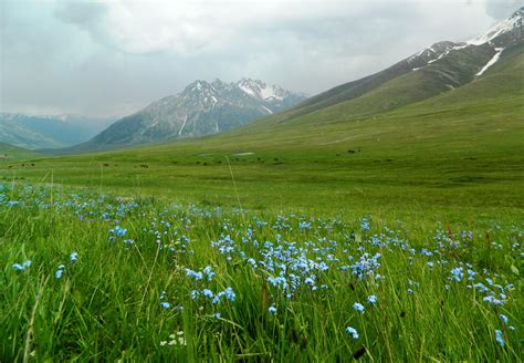 7 Beautiful Photographs Of The Magnificent Minimarg Valley Astore