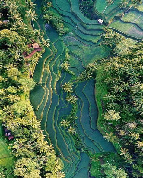 35 Gambar Keindahan Alam Indonesia Beserta Keterangannya