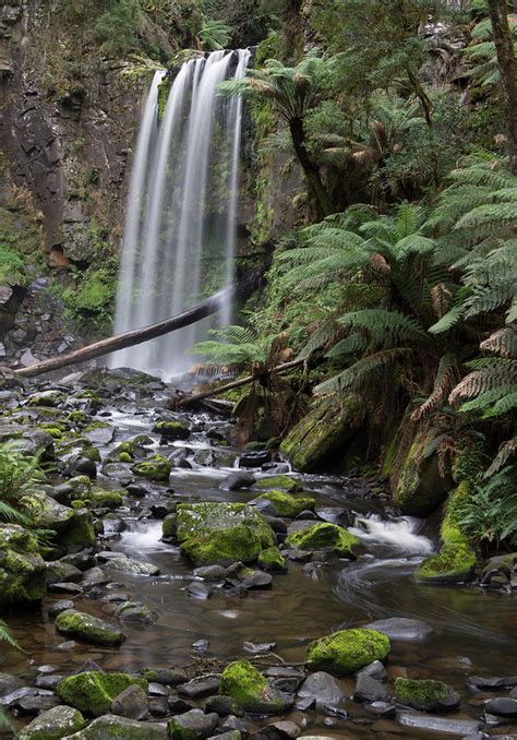 Hopetoun Falls And Stream Photograph By Heather Provan Fine Art America