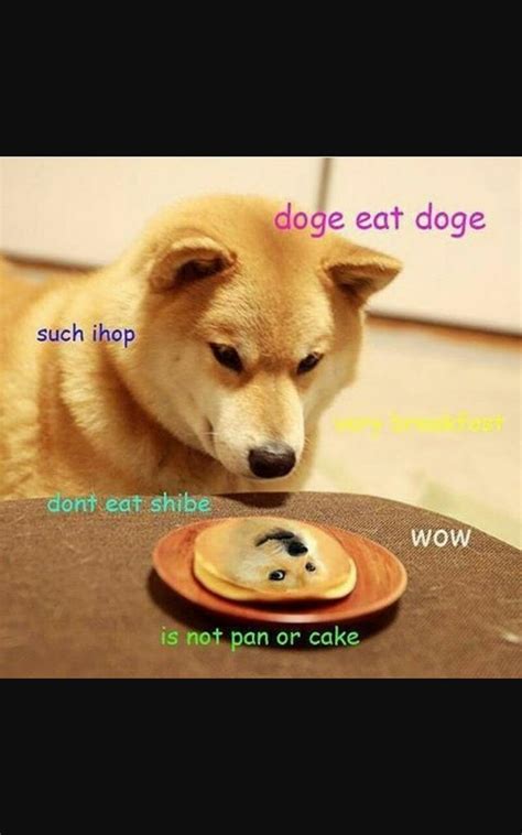 Dont Eat Me Shiba Inu Japanese Dogs Doge