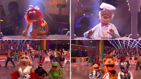 Dancing With The Stars Muppet Wiki