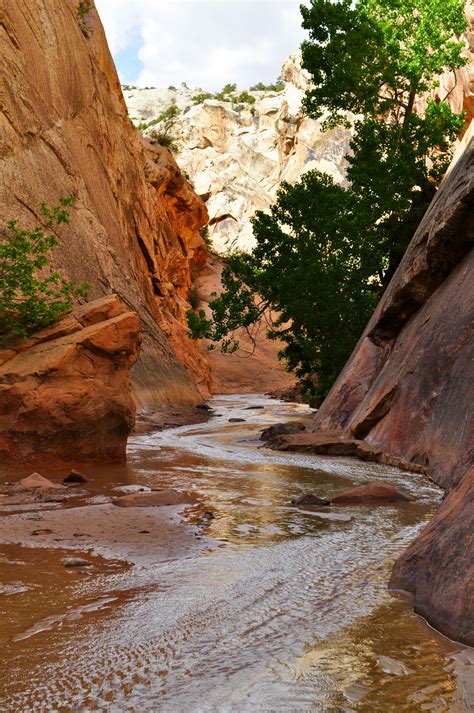 Lower Hackberry Canyon - Your Hike Guide