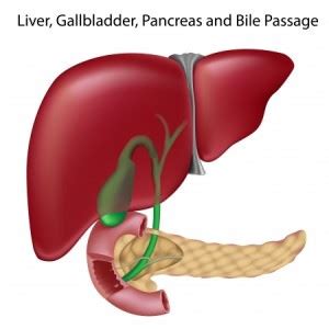 This subreddit is for people having gallbladder trouble, preparing for gallbladder removal, or a place to discuss. Gallbladder Disease - Dr. Scott Laker - Michigan Surgery