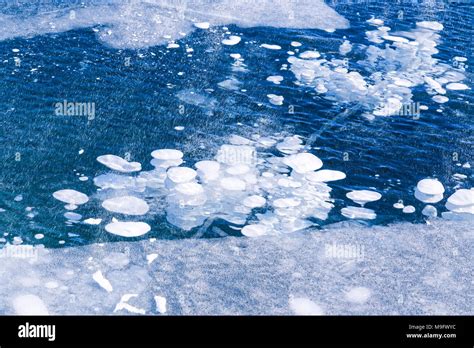 Frozen Bubbles Lake High Resolution Stock Photography And Images Alamy