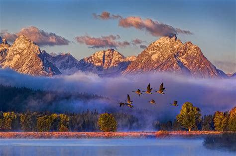 Snake River In The Grand Tetons Of Wyoming Usa