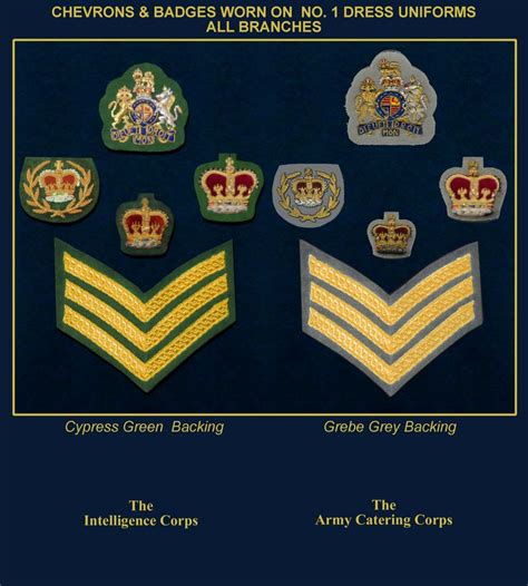 Badge11 Military Ranks Army Badge Military Insignia