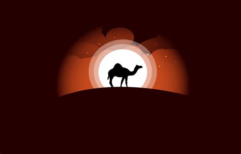 Camel Minimal Art 5k Wallpaperhd Artist Wallpapers4k Wallpapers