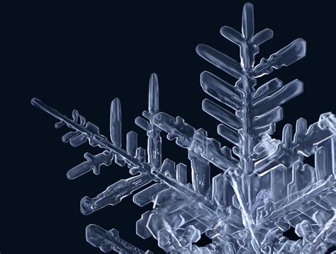 Snowflake Macros By Matthias Lenke Snowflakes Real Winter Snowflakes