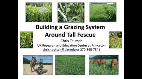 Building A Grazing System Around Tall Fescue Chris Teutsch Youtube
