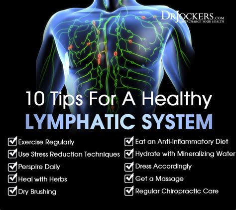 10 Ways To Improve Your Lymphatic System
