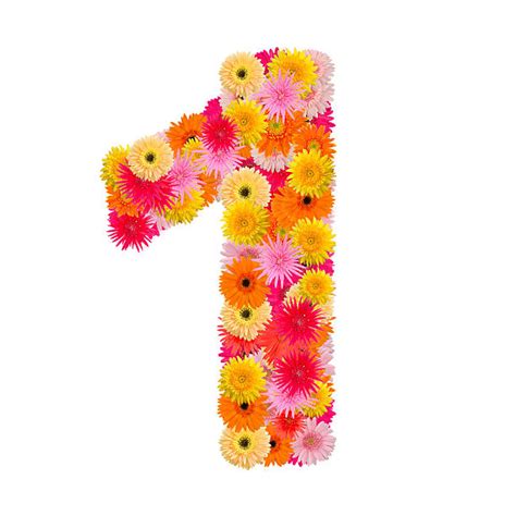 Royalty Free Flower Number 1 Abstract Alphabet Pictures Images And