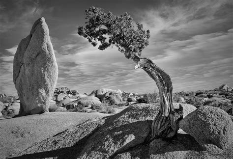 Black And White Photography Brent Bremer Photography