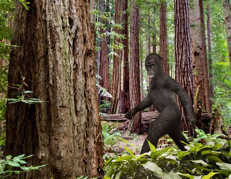 Yes Bigfoot Erotica Is Absolutely A Thing Rolling Stone