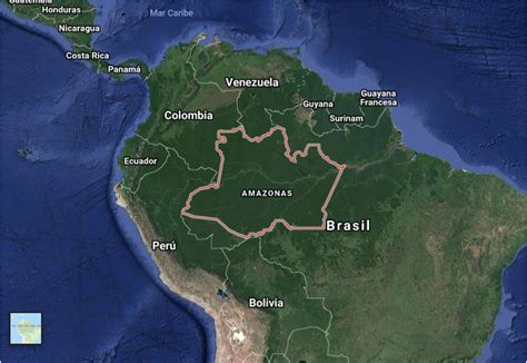 Jaque Al Neoliberalismo Jair Bolsonaro Una Amenaza Para La Amazonía Y