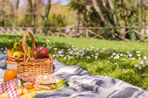 Embracing Nutrition Healthy Picnic Ideas