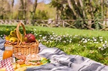 Embracing Nutrition | Healthy Picnic Ideas