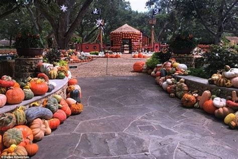 Dallas Arboretum And Botanical Garden Pumpkin Village Made With 100000