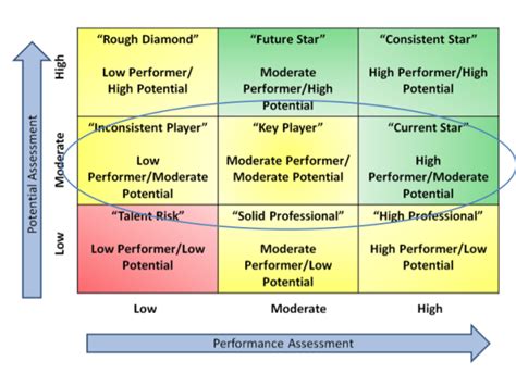 The 9 box is a matrix used to plot employee performance against potential to have an overview of talent in organisations, whereas the 4 box is a tool used to apply coaching techniques to manage. Developing Future Promise - Use the 9 Box to Develop ...