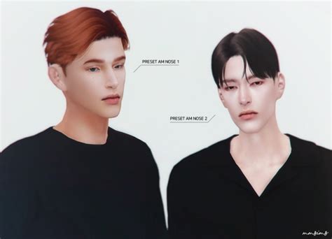 Preset Am Nose 1 And 2 At Mmsims Sims 4 Updates