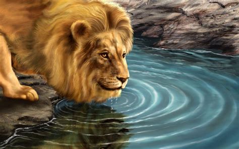 Lion Desktop Backgrounds Wallpaper Cave