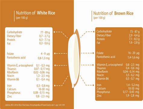 Nutritional Information Of Polished Rice And Brown Rice Provided To