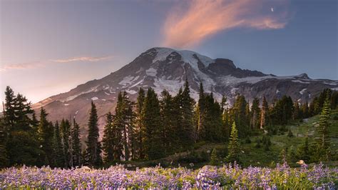 Mount Rainier 4k Wallpapers Top Free Mount Rainier 4k Backgrounds