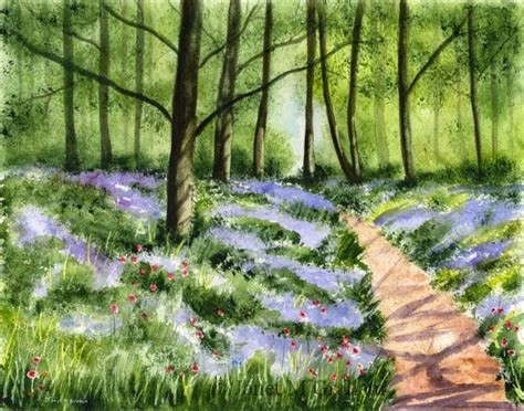 Janet M Grahams Painting Blog Bluebell Woods In Watercolours