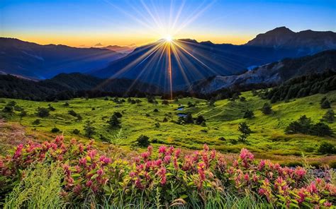 Landscape Nature Pink Flowers Green Grass Meadow With Sun Rays Sunrise