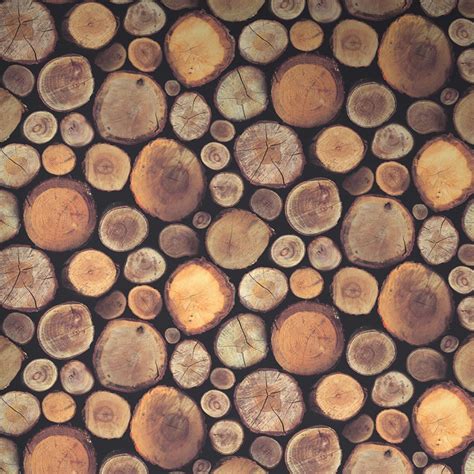Wood Logs Wallpapers Wallpaper Cave