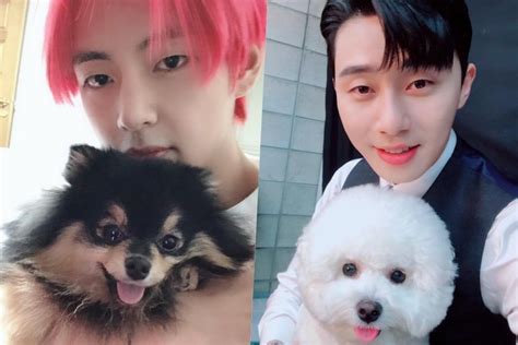 The sleeping witch (mbc, 2013). BTS's V's And Park Seo Joon's Dogs Meet For Adorable ...