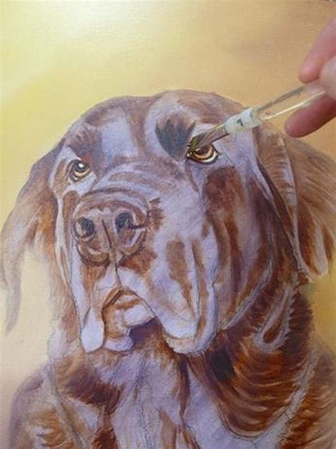 How To Paint Dog Acrylics First Colour Layers Pet Portrait Paintings