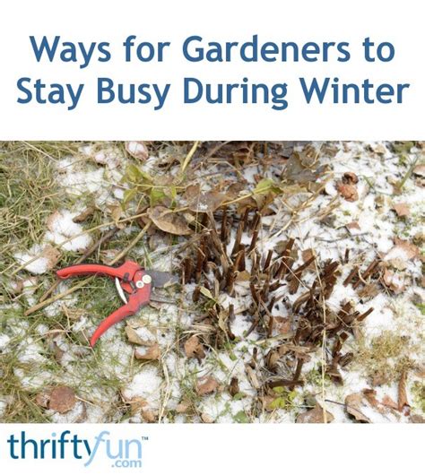 Ways For Gardeners To Stay Busy During Winter Thriftyfun