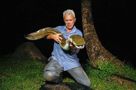 Man Eaters And Monsters The 15 Weirdest River Fish Ever Caught