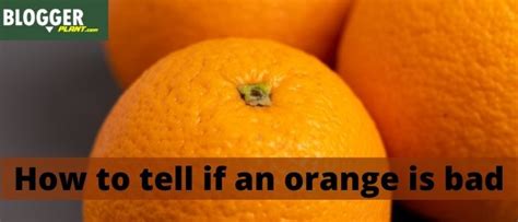 How To Tell If An Orange Is Bad