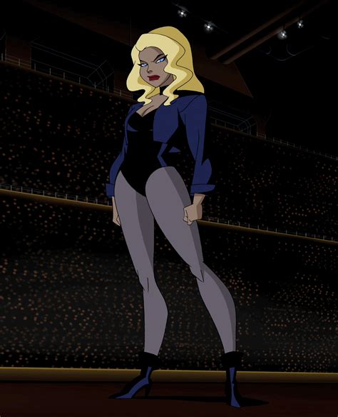 Black Canary 2 Jl Unimited Black Canary Female Superheroes And