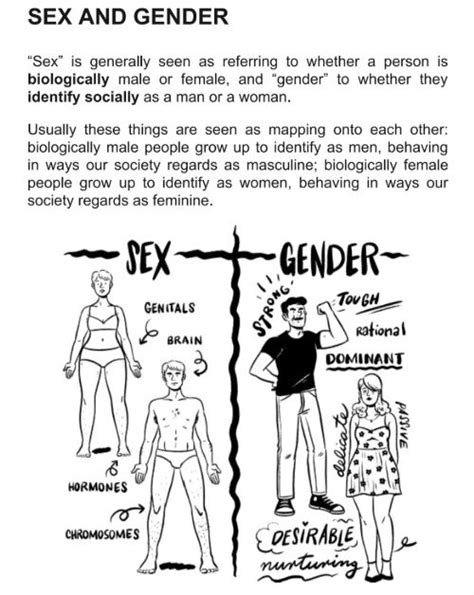 Gender A Graphic Guide Meg John Barker And Jules Scheele Provide A Concise And Accessible