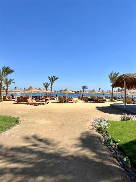 Strand Desert Rose Resort Hurghada • Holidaycheck Hurghadasafaga Ägypten