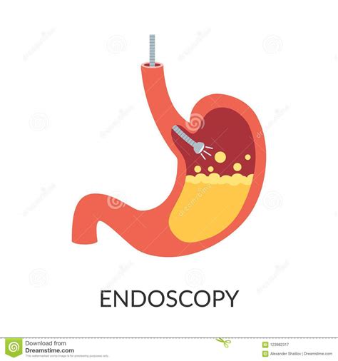Stomach Endoscopy Vector Icon Gastroscopy Logo Symbol Idea Flat